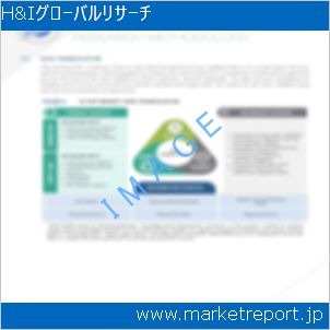 市場と産業調査レポートのイメージ